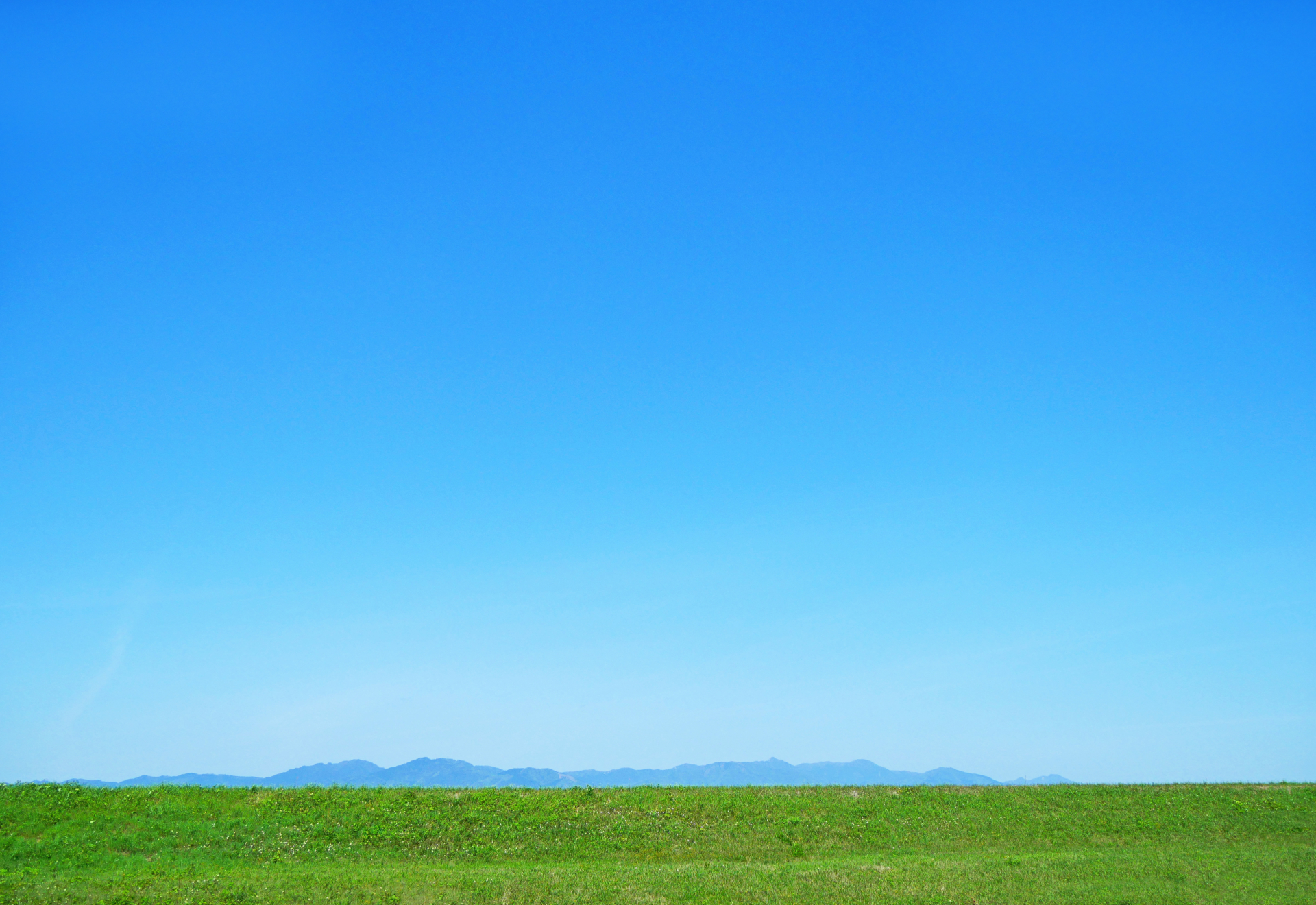 ポニーフェイスランド